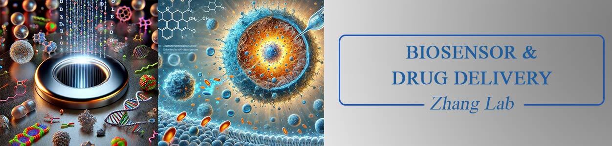 Biosensor and Drug Delivery - Zhang Lab